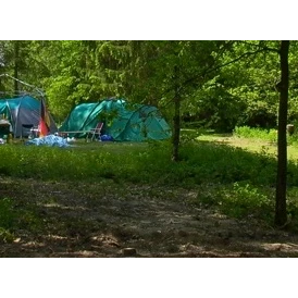 ECOCAMPS: Campingforst am Laarer See - Campingforst am Laarer See