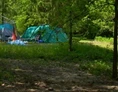 ECOCAMPS: Campingforst am Laarer See - Campingforst am Laarer See