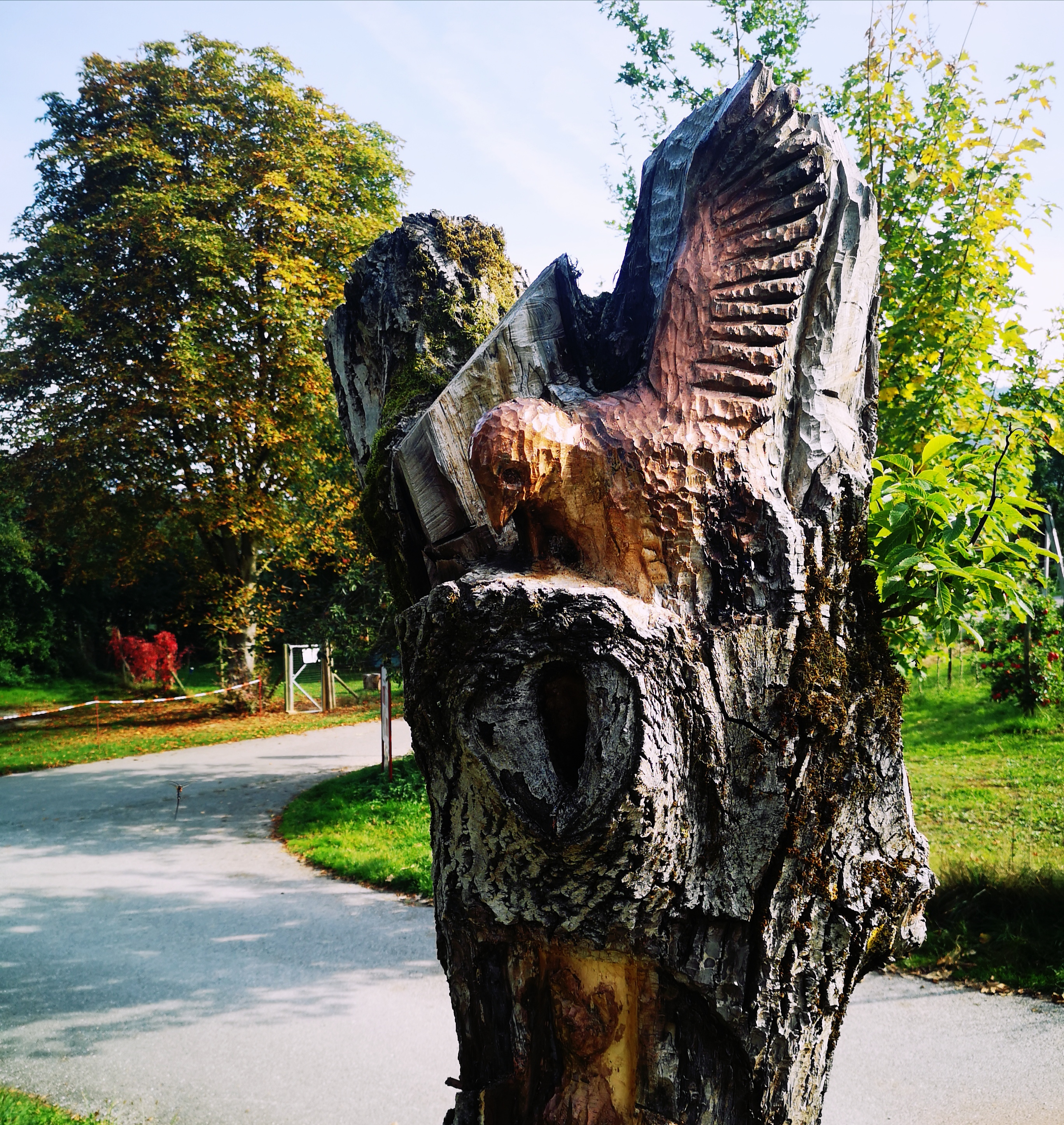 ECOCAMPS: Campinggarten Wahlwies - Campinggarten Wahlwies