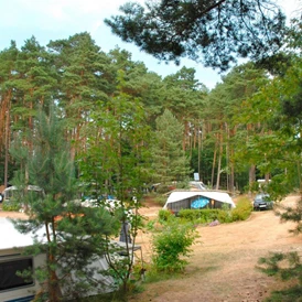 ECOCAMPS: Campingplatz am Großen Pälitzsee - Campingplatz am Großen Pälitzsee