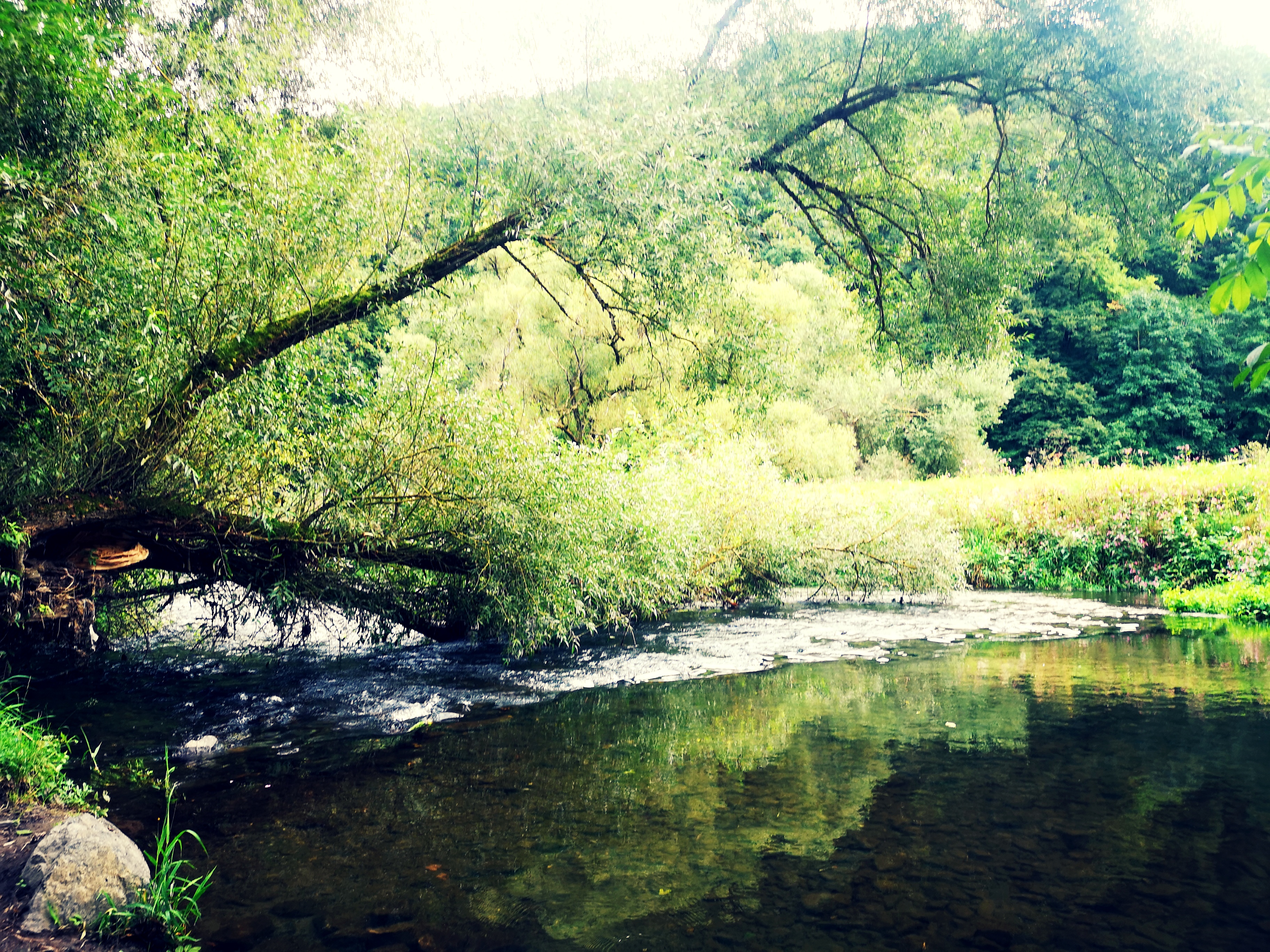 Campingplätze - Freizeitangebote in der Nähe (<20km): Fahrradtouren - Hessen - Campingplatz Auenland - Campingplatz Auenland