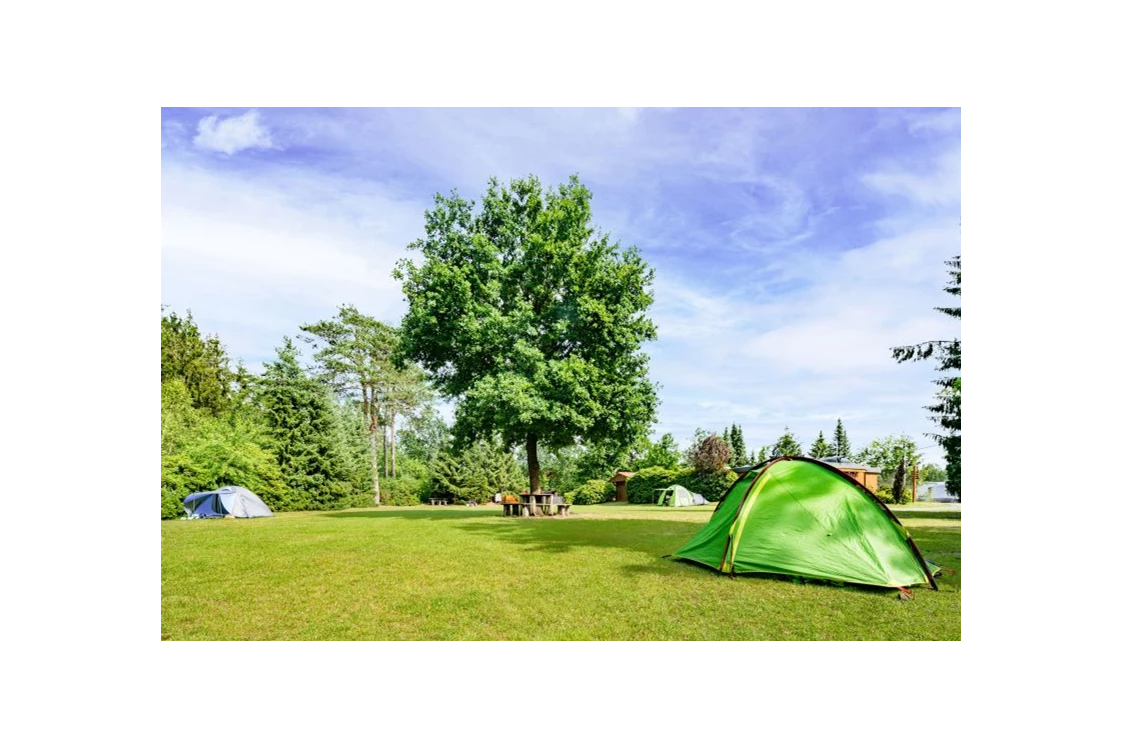 ECOCAMPS: Campingplatz Auf dem Simpel - Campingplatz Auf dem Simpel