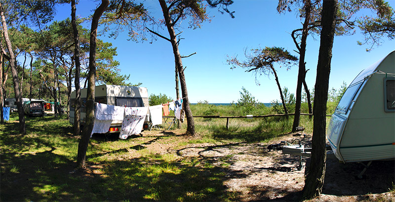 Campings - Rügen - Campingplatz Drewoldke - Campingplatz Drewoldke