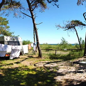 ECOCAMPS: Campingplatz Drewoldke - Campingplatz Drewoldke