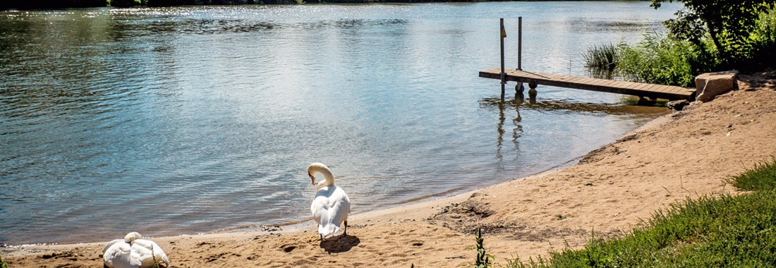 Campingplätze - Freizeitangebote in der Nähe (<20km): Freibad - Franken - Campingplatz Mainschleife Escherndorf - Campingplatz Mainschleife Escherndorf