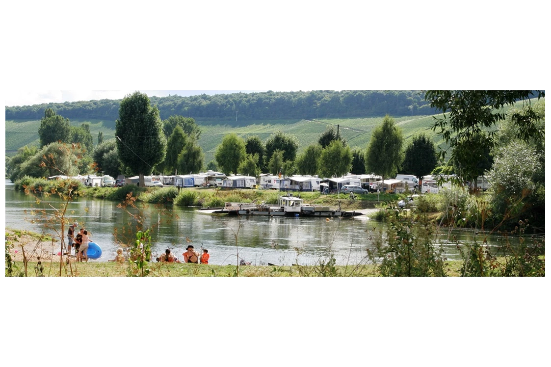 ECOCAMPS: Campingplatz Mainschleife Escherndorf