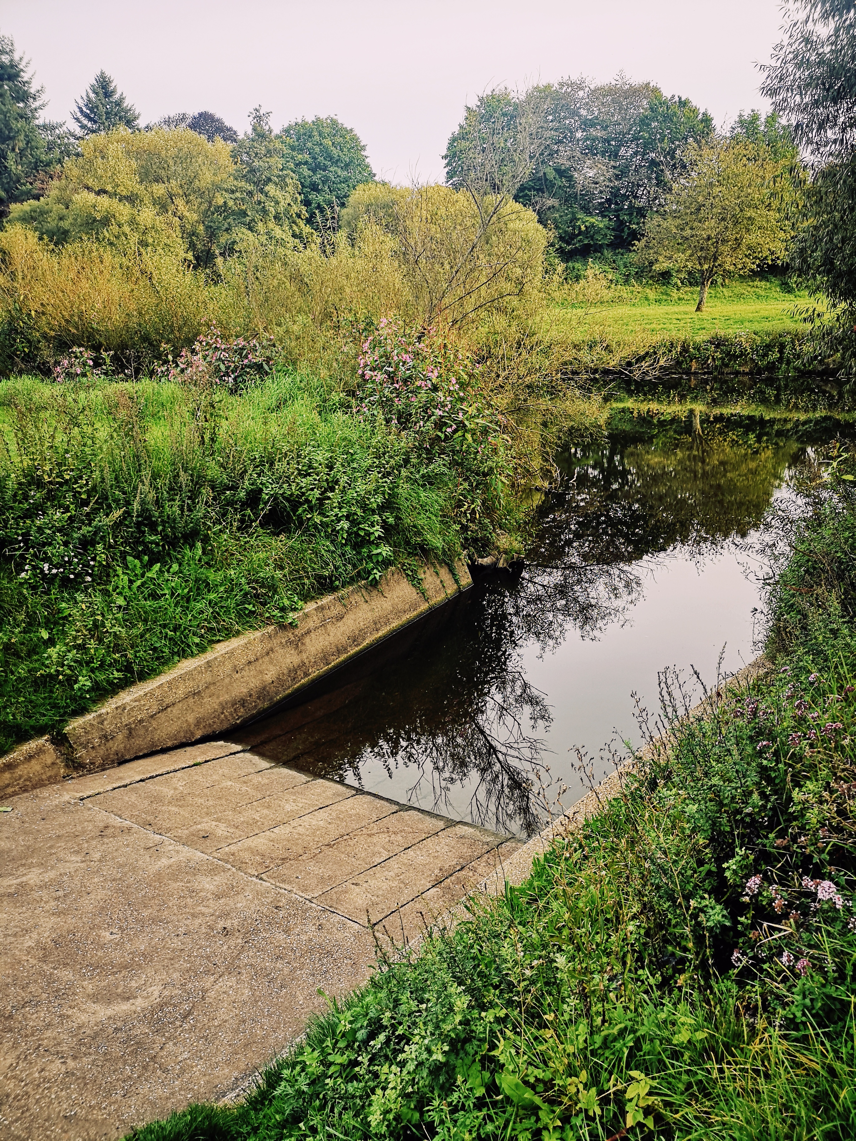 ECOCAMPS: Campingplatz Odersbach - Campingplatz Odersbach