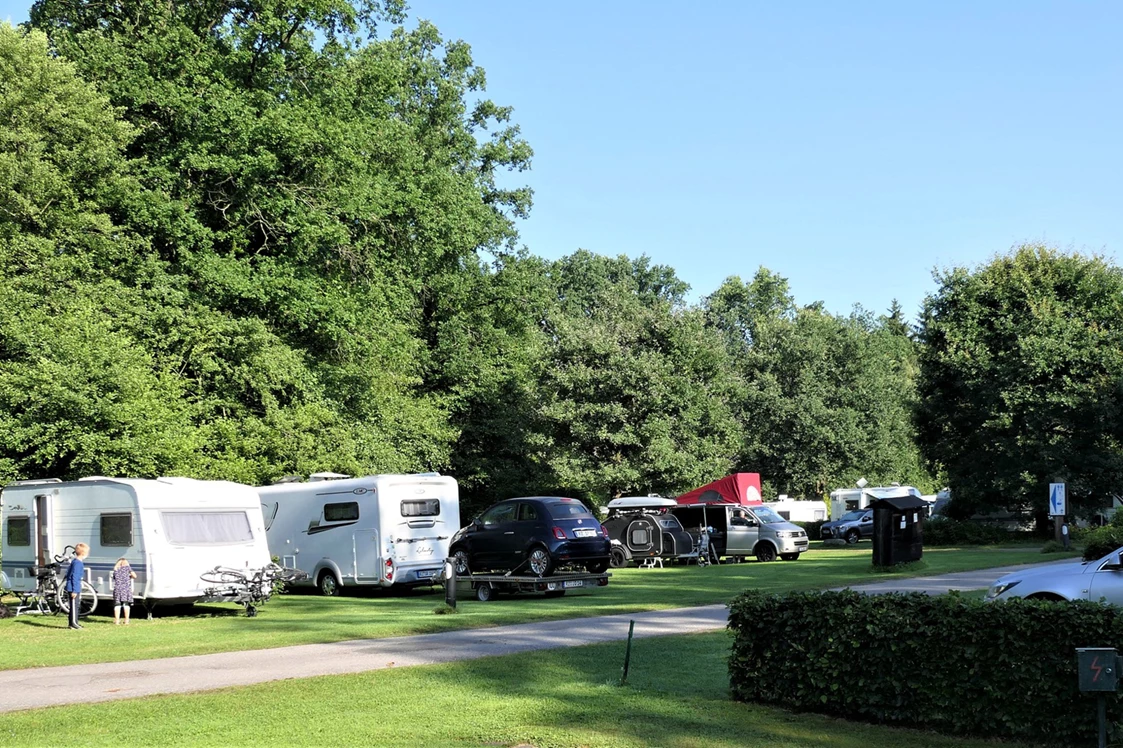 ECOCAMPS: Campingplatz Zum Oertzewinkel - Platzgelände großzügig, gepflegt - Campingplatz Zum Oertzewinkel