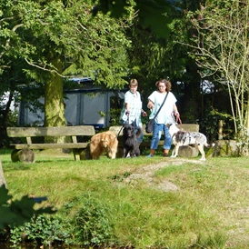 ECOCAMPS: Campingplatz Zum Oertzewinkel - ideal für Hunde - Campingplatz Zum Oertzewinkel