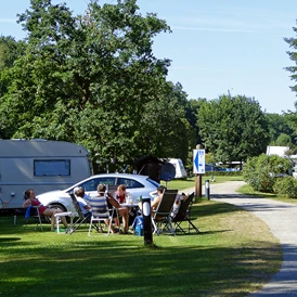ECOCAMPS: Campingplatz Zum Oertzewinkel - mitten im Grün - Campingplatz Zum Oertzewinkel