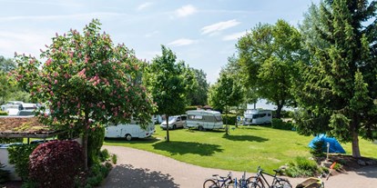 Campingplätze - Region Bodensee - CAP - Rotach - CAP - Rotach