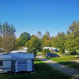 ECOCAMPS: Gern Campinghof Salem