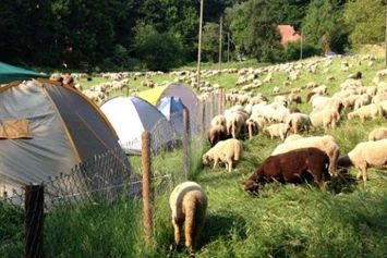 ECOCAMPS: Hirzberg-Camping - Hirzberg-Camping
