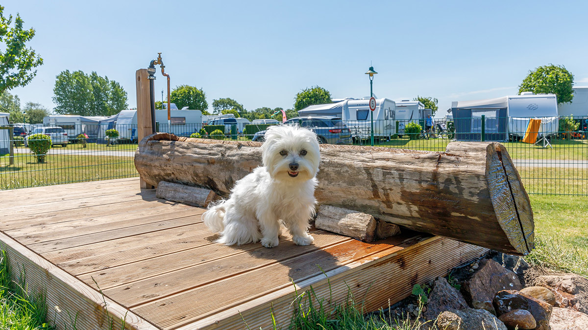ECOCAMPS: Insel-Camp Fehmarn - Insel-Camp Fehmarn