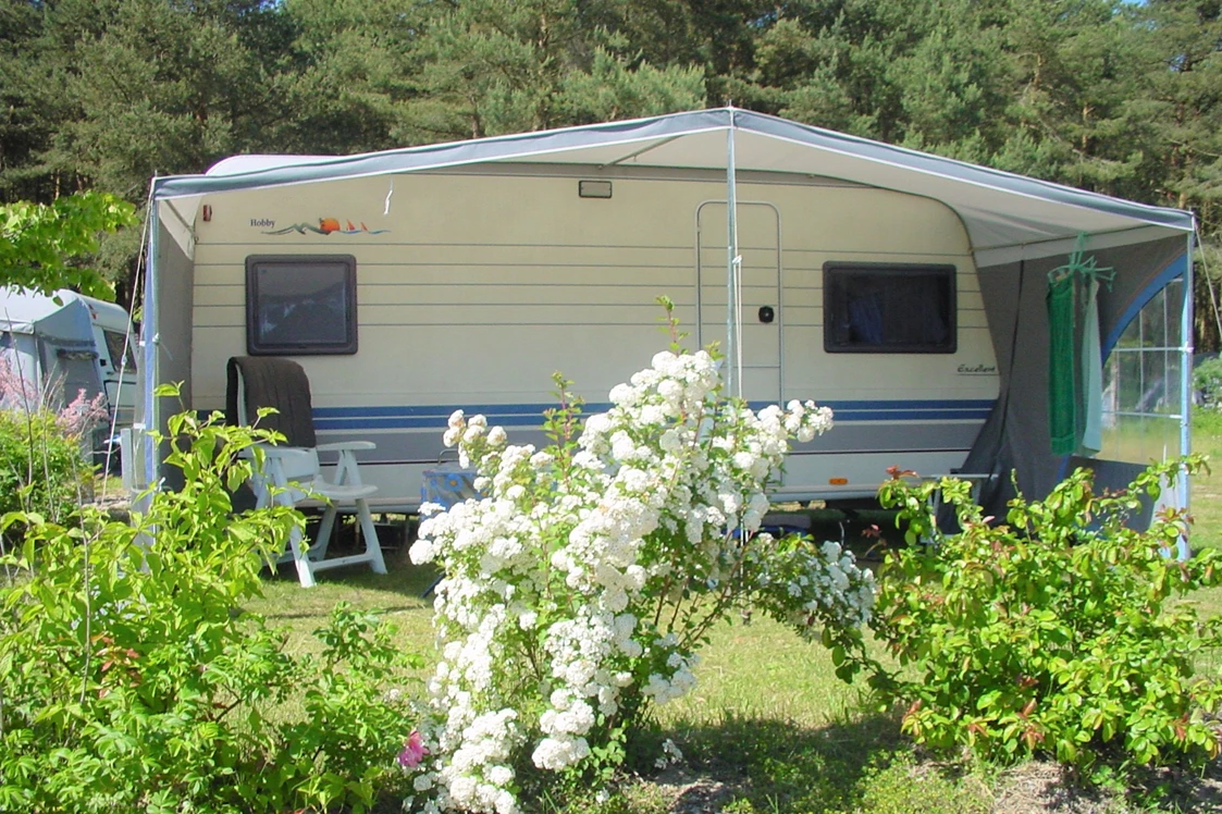 ECOCAMPS: Stellplätze auf unserer Sonnenwiese - Natur Camping Usedom