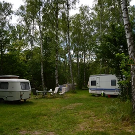 ECOCAMPS: Naturcampingpark Rehberge - Naturcampingpark Rehberge