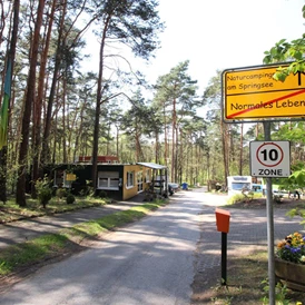 ECOCAMPS: Naturcampingplatz am Springsee - Naturcampingplatz am Springsee