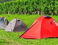 ECOCAMPS: Saksida Wine & Camping Resort, Camping Saksida - Saksida Wine & Camping Resort, Camping Saksida