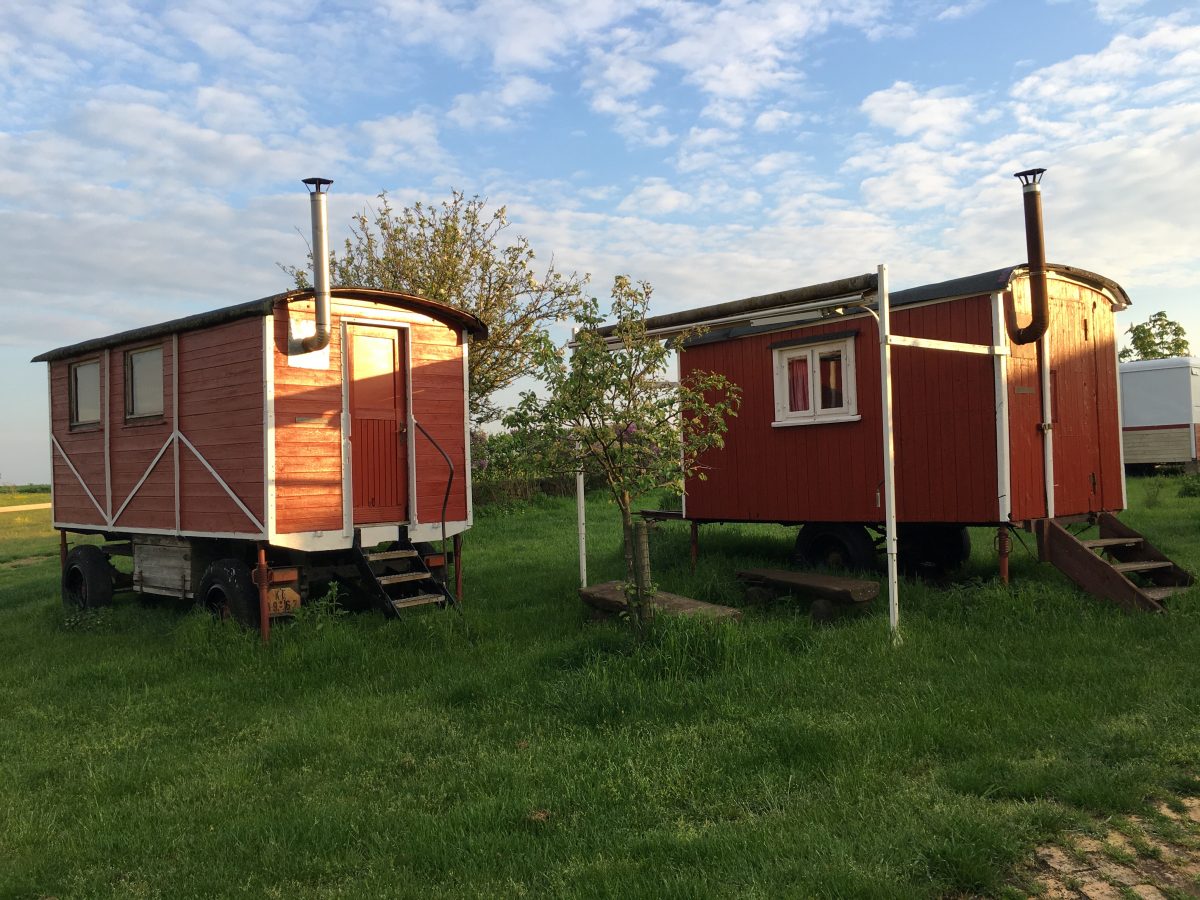 Campingplätze - Löbejün - Zeltwiese Löbejün - Zeltwiese Löbejün