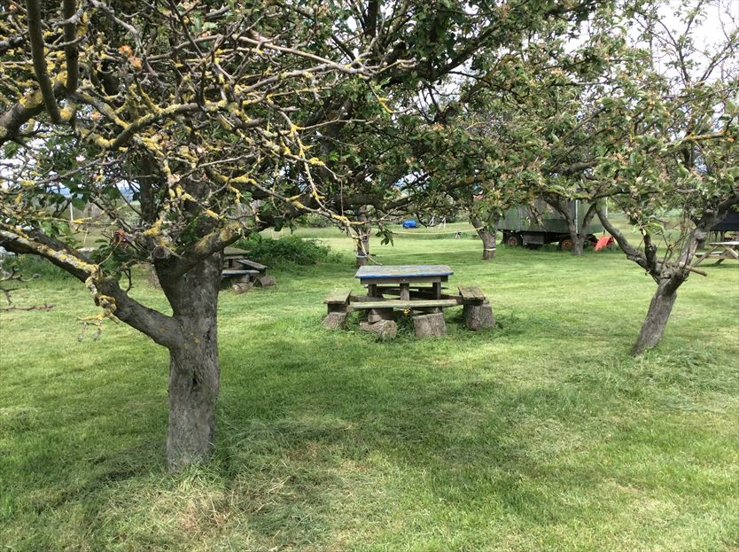 Campingplätze - Löbejün - Zeltwiese Löbejün - Zeltwiese Löbejün